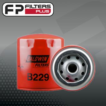 B229