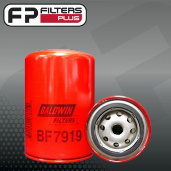 BF7919