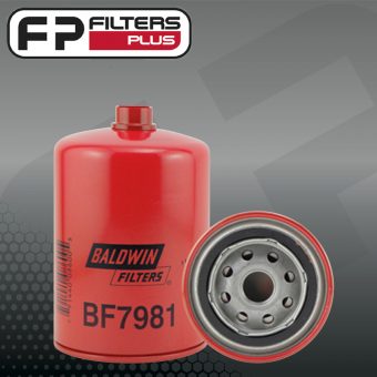 BF7981