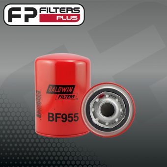 BF955