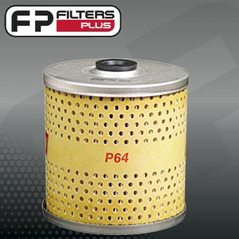 P64