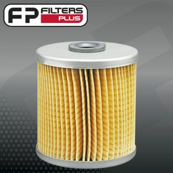 PF313