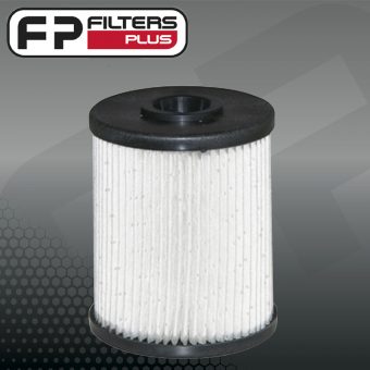PF7777