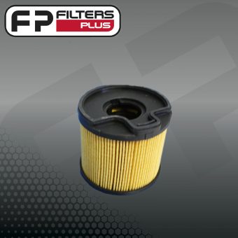 WCF100