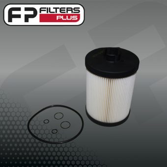 WCF241