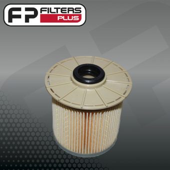 WCF242