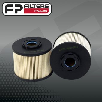 WCF231