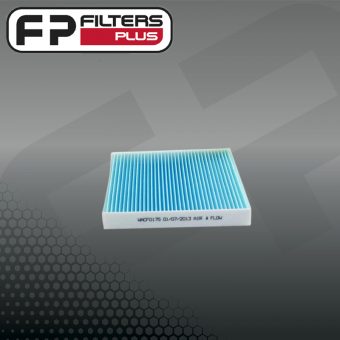 WACF0175