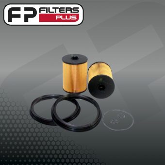 WCF263