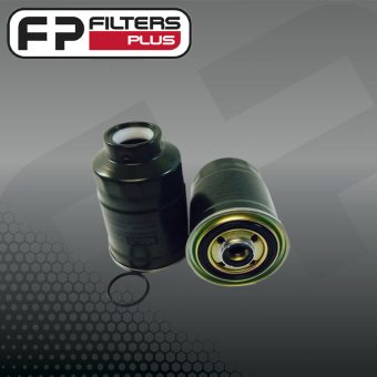 WZ304NM