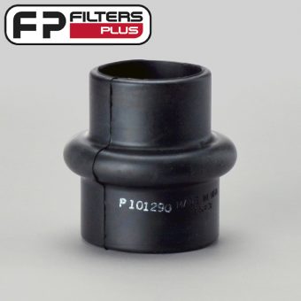 P101290