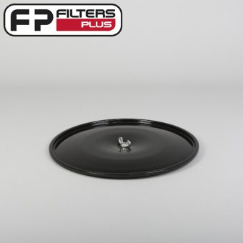 P137984BLACK