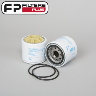 P505981