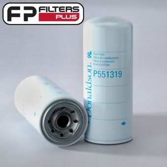 P551319