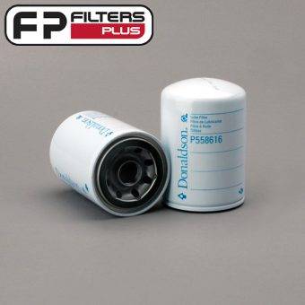 P558616