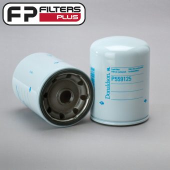 P559125