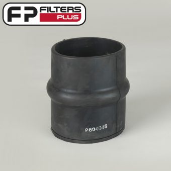 P604045