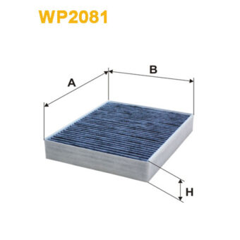 WP2081